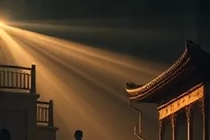 田园剧《小满》封面：水田间的秧苗与竹笠