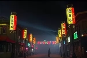 文艺片《白鹭无声》封面：湿地芦苇荡中的白色鸟影
